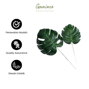 Daun Monstera Surabaya